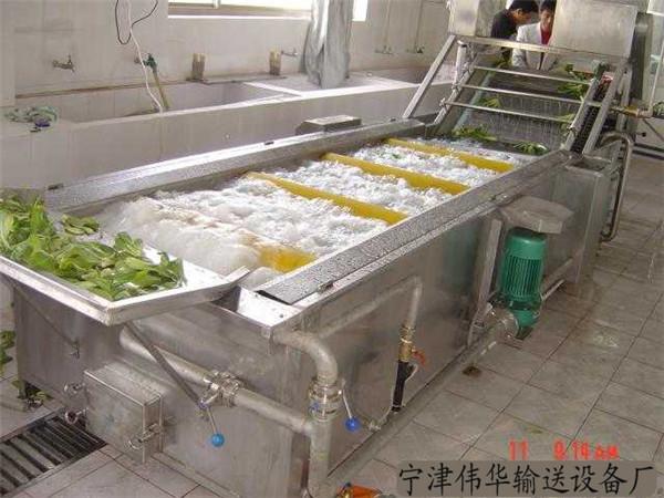 水果蔬菜清洗机